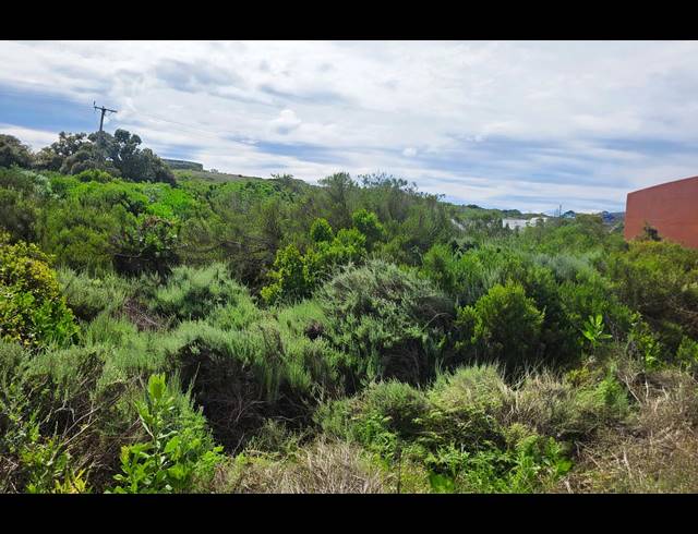 586M² VACANT LAND FOR SALE IN BOGGOMSBAAI